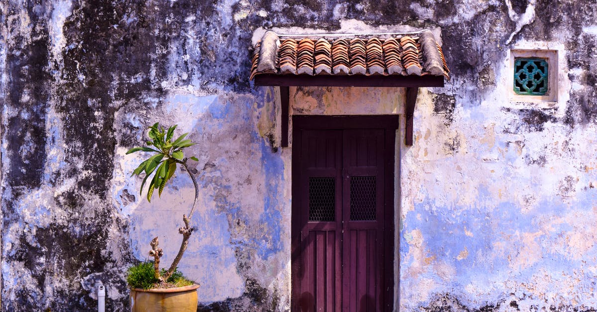 Why is my CleanBot stuck at the front door? - Green Plants Beside Purple Wooden Door Why is my CleanBot stuck at the front door? - Green Plants Beside Purple Wooden Door