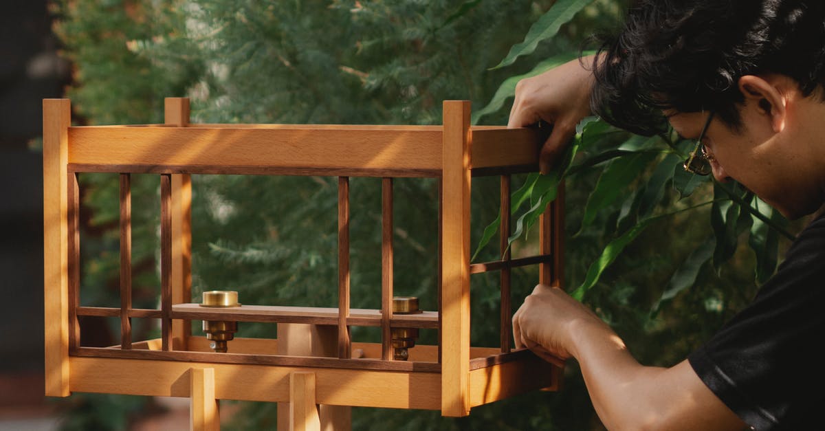 Why is my critter feeder producing germs? - Concentrated man making bird feeder Why is my critter feeder producing germs? - Concentrated man making bird feeder