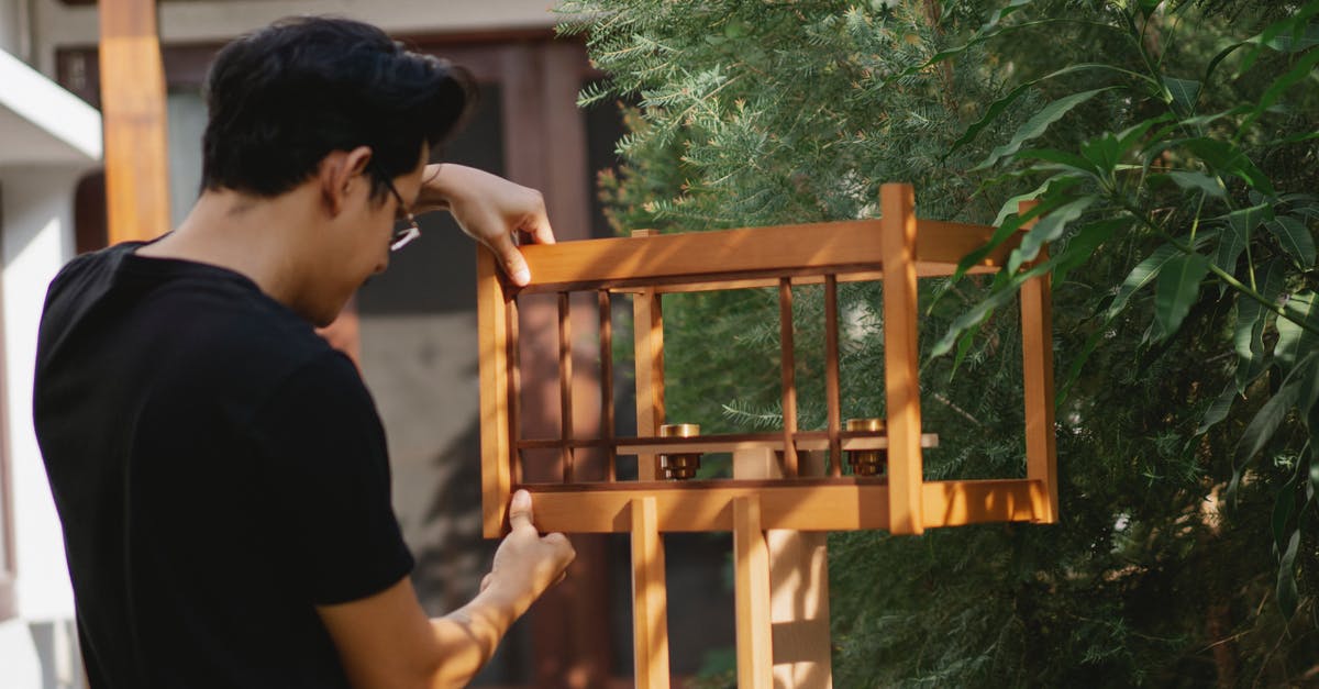 Why is my critter feeder producing germs? - Back view of concentrated young male joiner installing wooden handmade bird table in yard near trees Why is my critter feeder producing germs? - Back view of concentrated young male joiner installing wooden handmade bird table in yard near trees