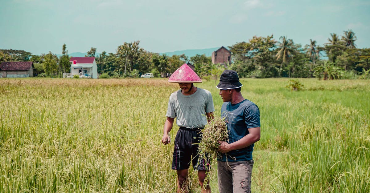 Why is my floating mob farm not working? - Men Working in a Field