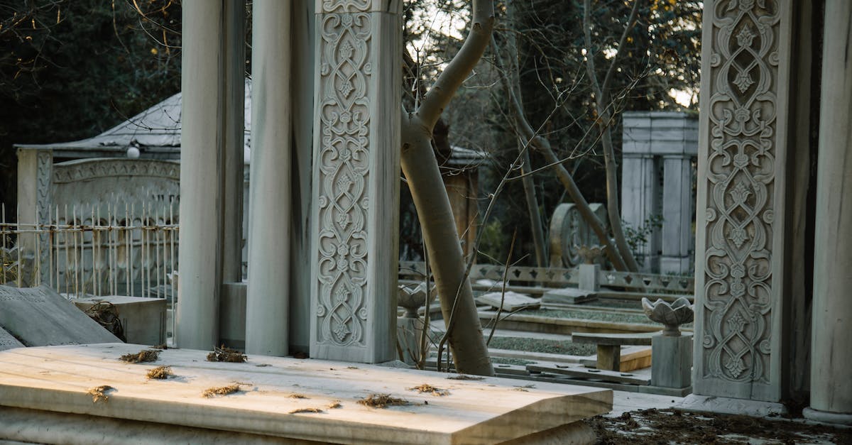 Why is nobody dead? - Old cemetery among green trees Why is nobody dead? - Old cemetery among green trees