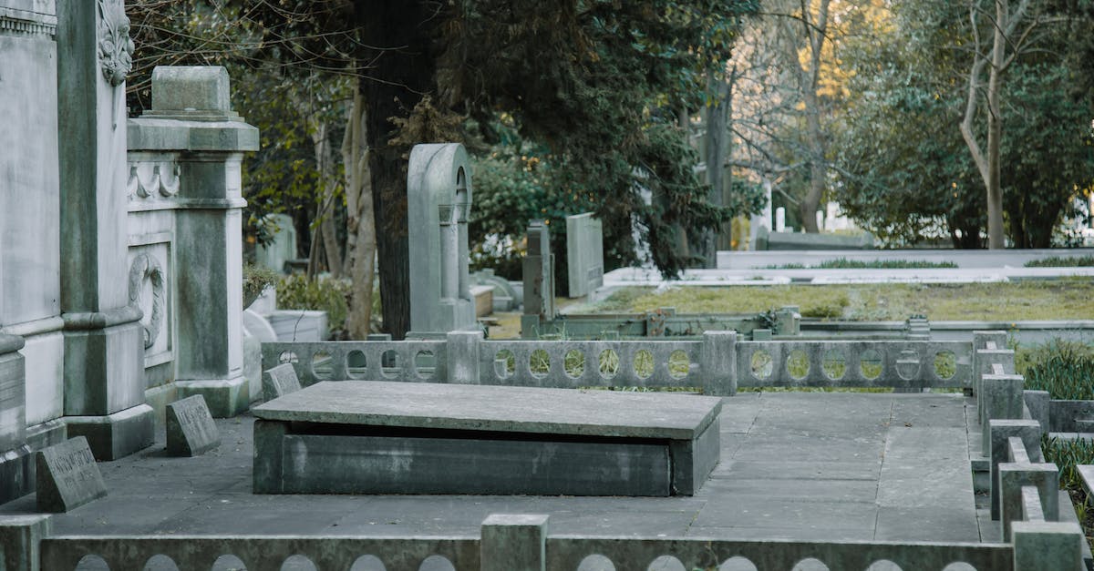 Why is nobody dead? - Stone graves among green trees Why is nobody dead? - Stone graves among green trees