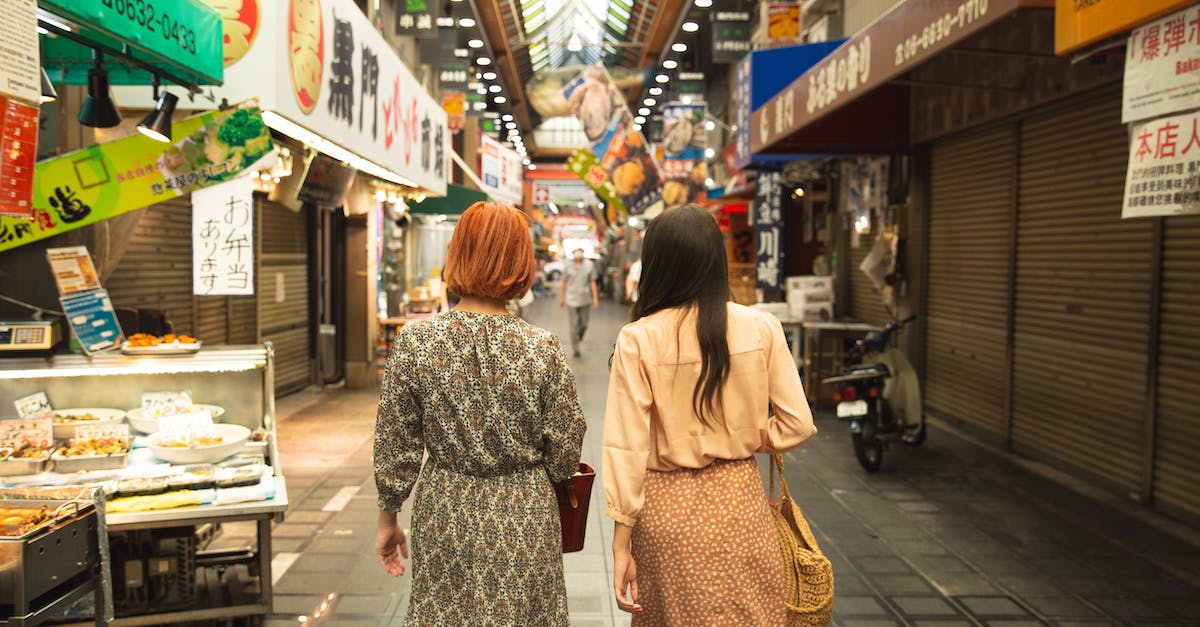 Why is there 2 Journey downloads for buying the game? - Back view of unrecognizable trendy female travelers in stylish clothes walking in traditional famous Nishiki Market in Kyoto