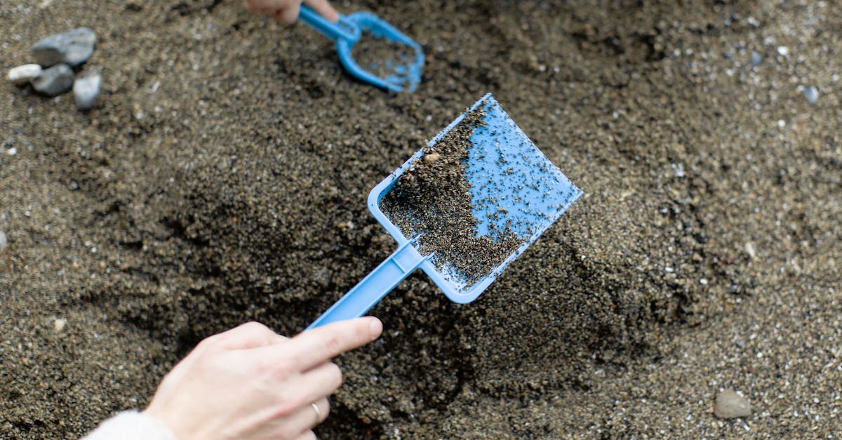Why is there 2 Journey downloads for buying the game? - Crop faceless mother with baby playing with plastic shovels in sand