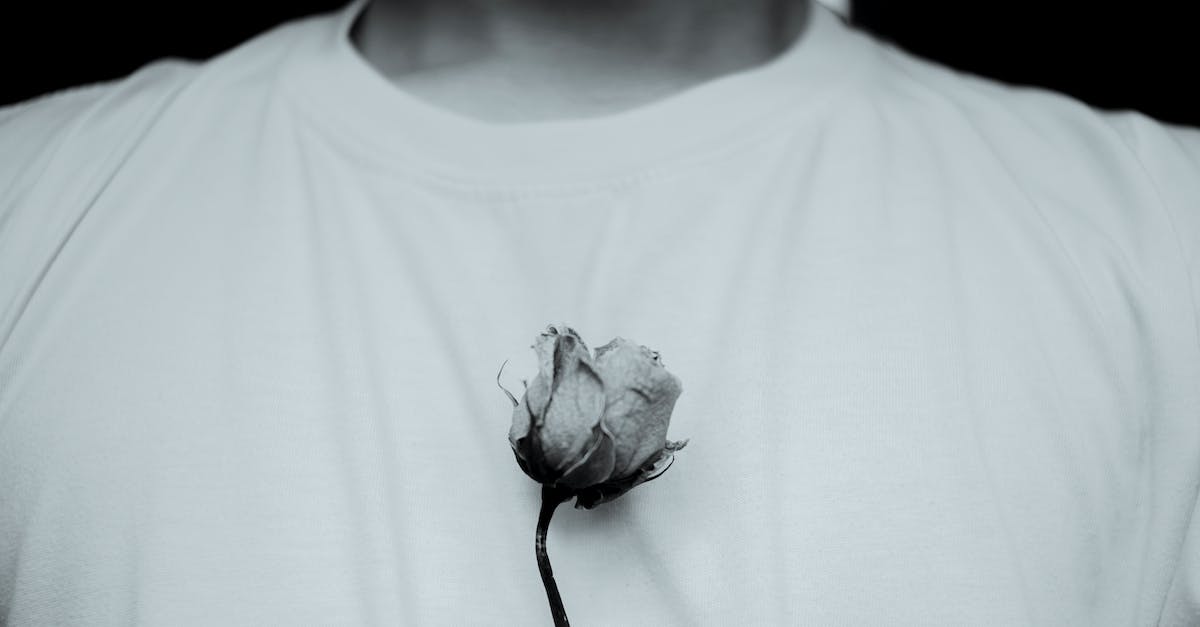 Why isn't my Minecraft wither skeleton farm spawning any wither skeletons? - Black and white of crop anonymous male in casual white t shirt with small faded rose standing in light room