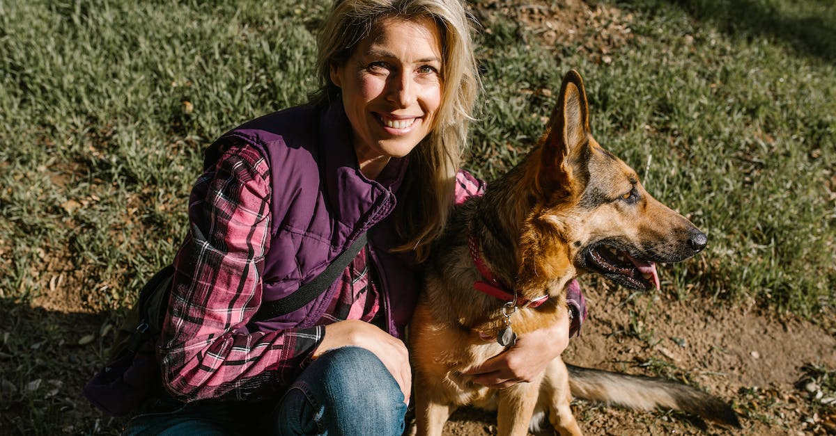 Why no animals? - Free stock photo of adventure, bon fire, california