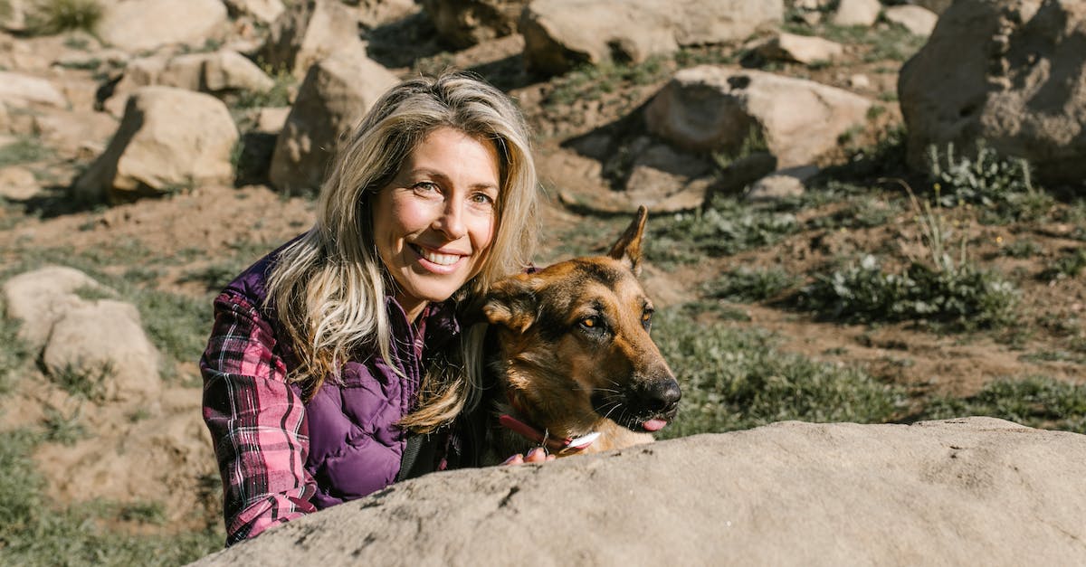 Why no animals? - Free stock photo of adult, adventure, bon fire