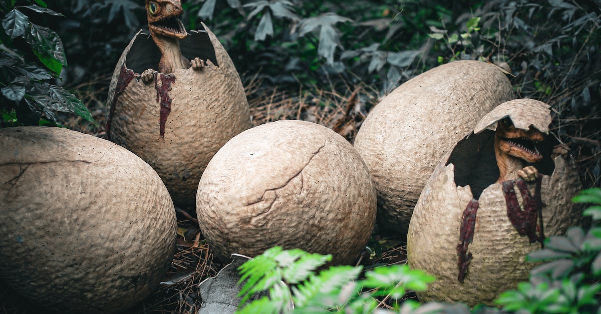 Why should I hatch Tallbird eggs? - Dinosaurs Hatching From Eggs