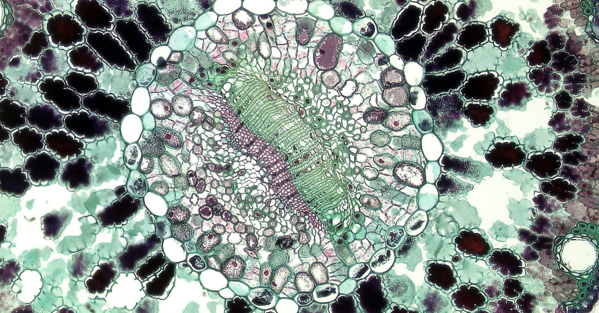 Why was Gurubashi Berserker never seen in Patron decks? - Cell Seen Under Microscope