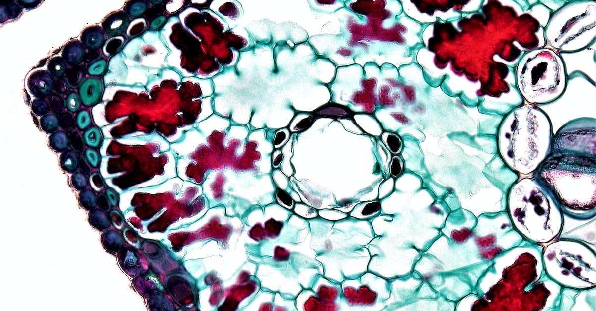 Why was Gurubashi Berserker never seen in Patron decks? - Cell Seen Under Microscope