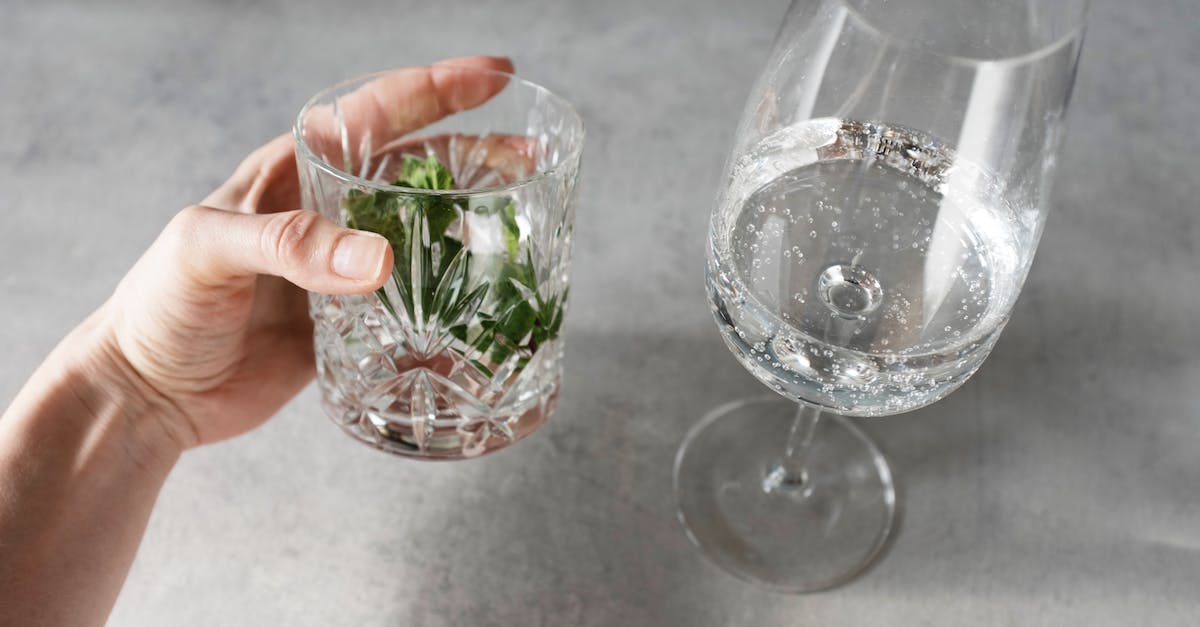 Why will my green bar in Ingress only fill up half way? - Crop person holding glass with herbs and water near wineglass with tonic on gray table