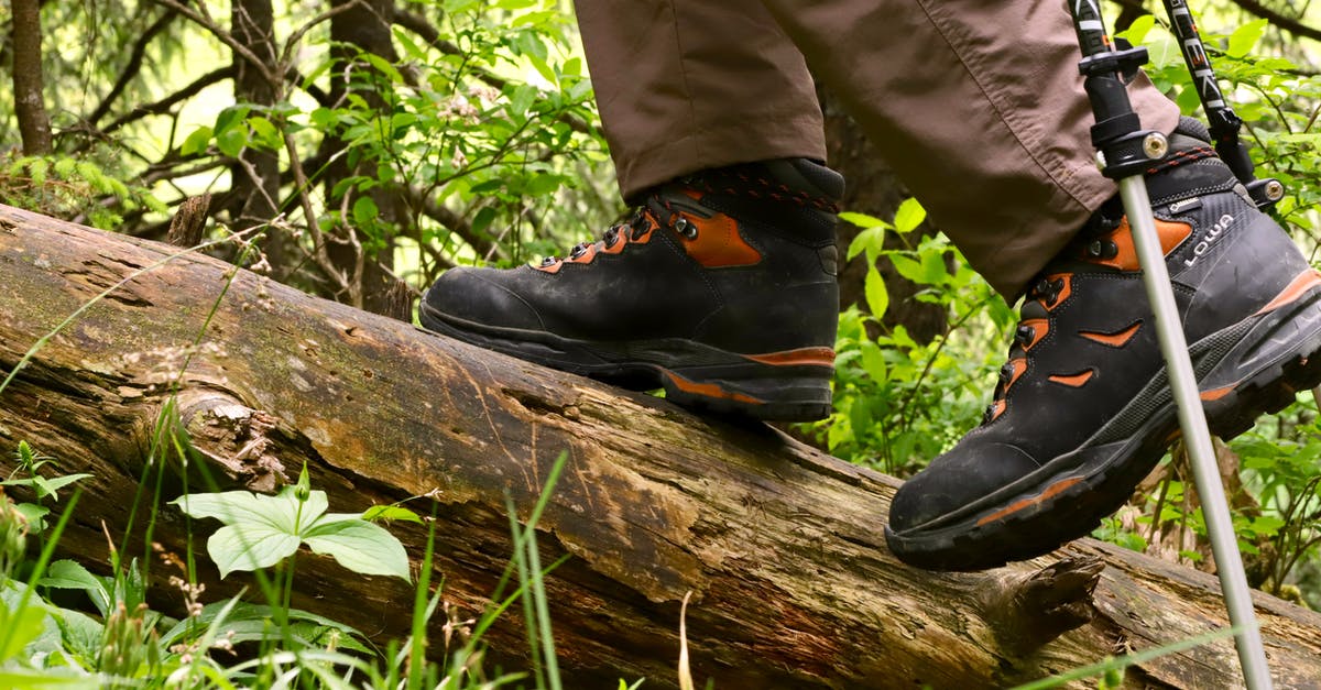 Why won't my initial climb to 500 feet AGL objective register? - Walking in the forest