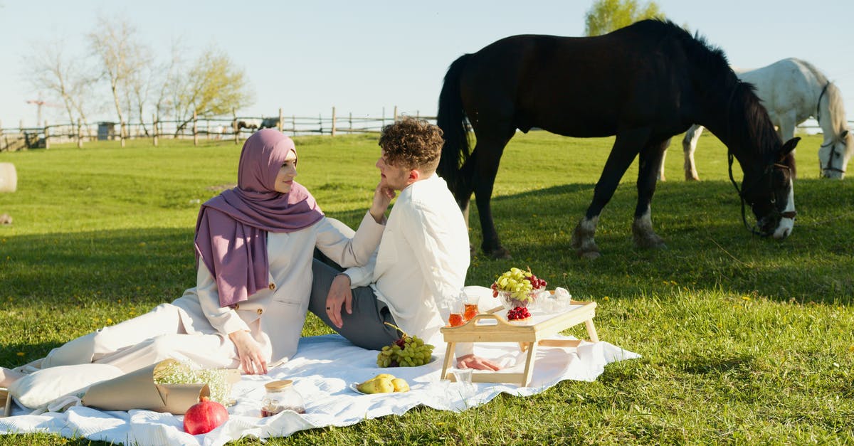 Why won't my minecraft horses breed? - Free stock photo of adult, arab, arabian Why won't my minecraft horses breed? - Free stock photo of adult, arab, arabian