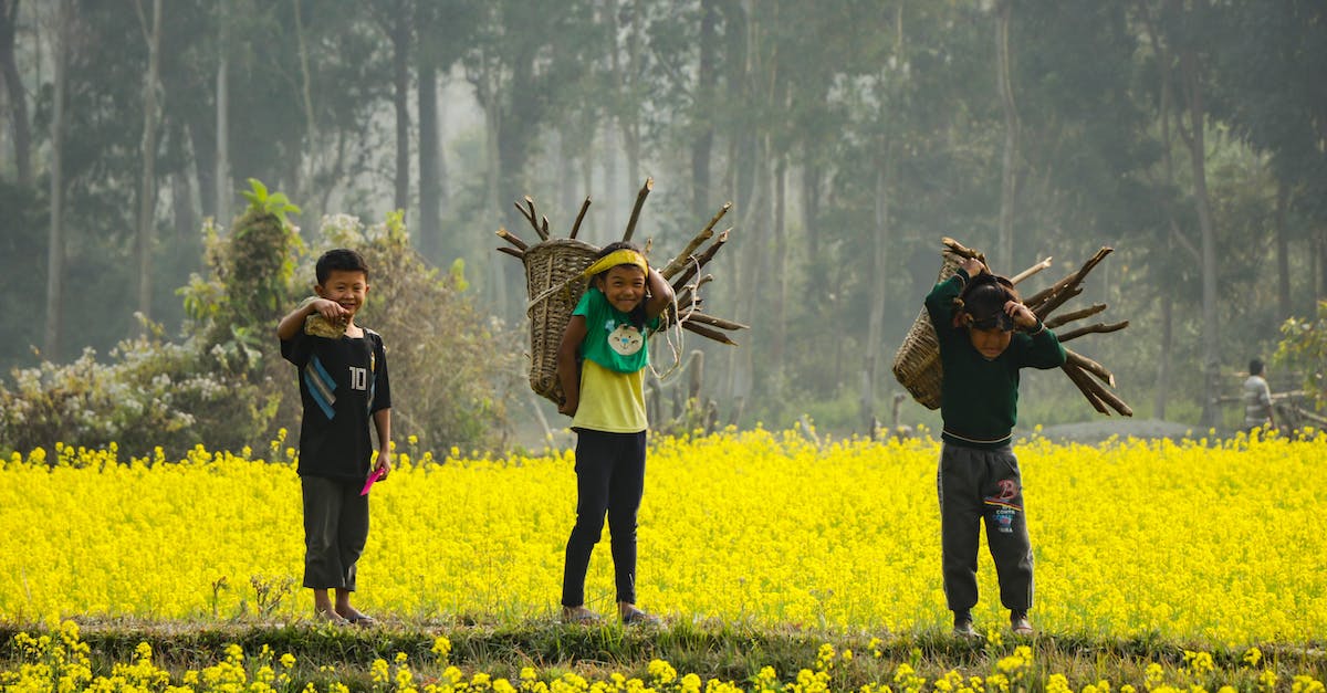 Why won't my mob farm work - Three Boy's Standing Holding Branches Why won't my mob farm work - Three Boy's Standing Holding Branches