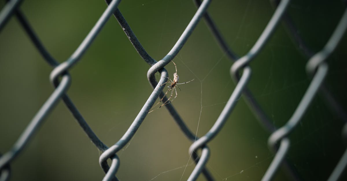 Why won't my portals link up properly? - A Spider on a Chain Link Fence 