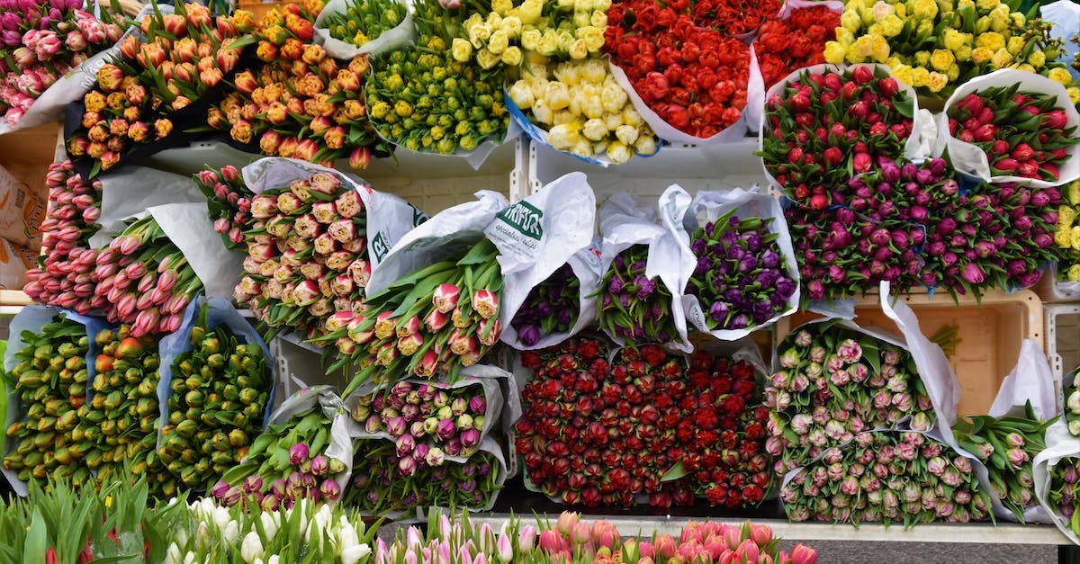 Why won't the Traders in Fairfax Gardens sell anything anymore? - Selective Focus Photography of Assorted Flowers Why won't the Traders in Fairfax Gardens sell anything anymore? - Selective Focus Photography of Assorted Flowers