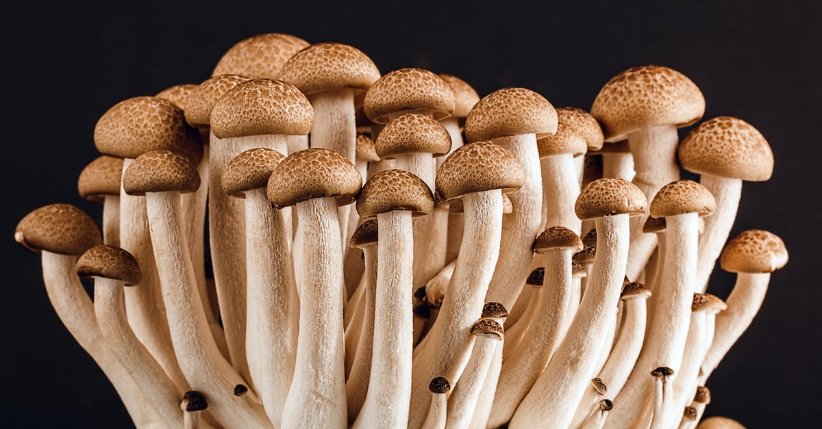 Why would I want to plant fungus in SMAC (Sid Meiers' Alpha Centauri)? - Brown Mushroom