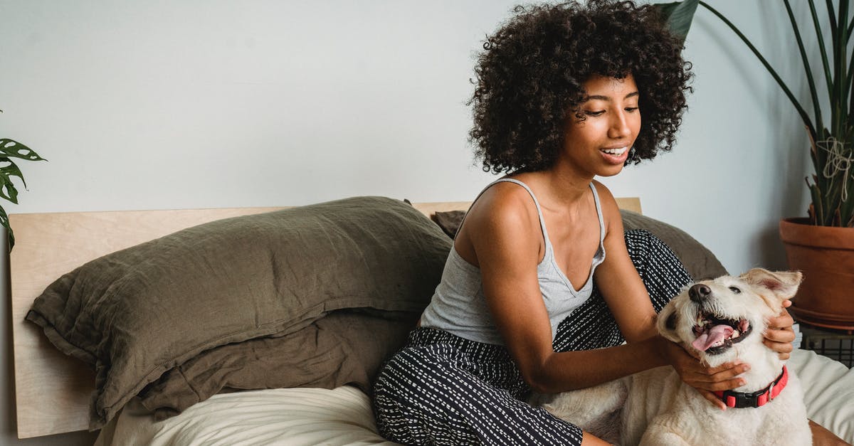 Why would I want to rub my friend's faces? - Smiling African American woman with curly hair resting on soft bed and stroking obedient dog in bedroom at home Why would I want to rub my friend's faces? - Smiling African American woman with curly hair resting on soft bed and stroking obedient dog in bedroom at home