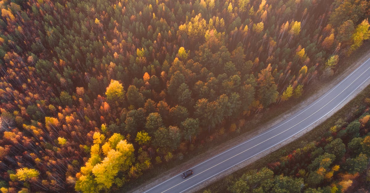 Wii DVD drive disassembly and reassembly - Aerial View of Green Trees and Road Wii DVD drive disassembly and reassembly - Aerial View of Green Trees and Road