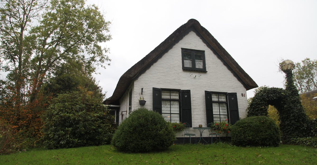 Wildstar housing: Garden LvL 2 - White and Brown House Near Green Grass Field