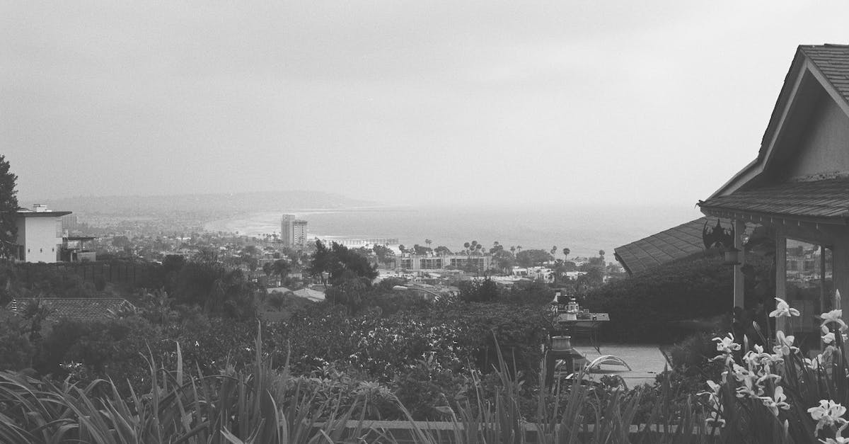 Wildstar housing: Garden LvL 2 - Grayscale Photo of a House Surrounded by Plants