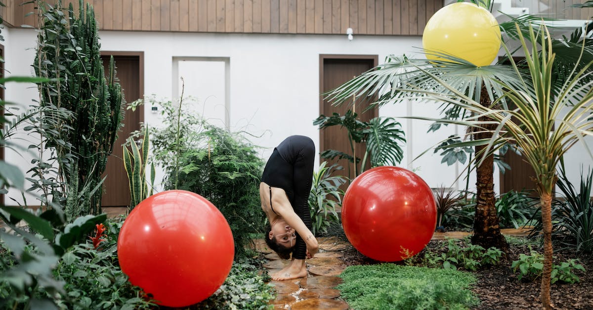 Wildstar housing: Garden LvL 2 - Man in Black Shirt and Black Pants Sitting on Red Ball