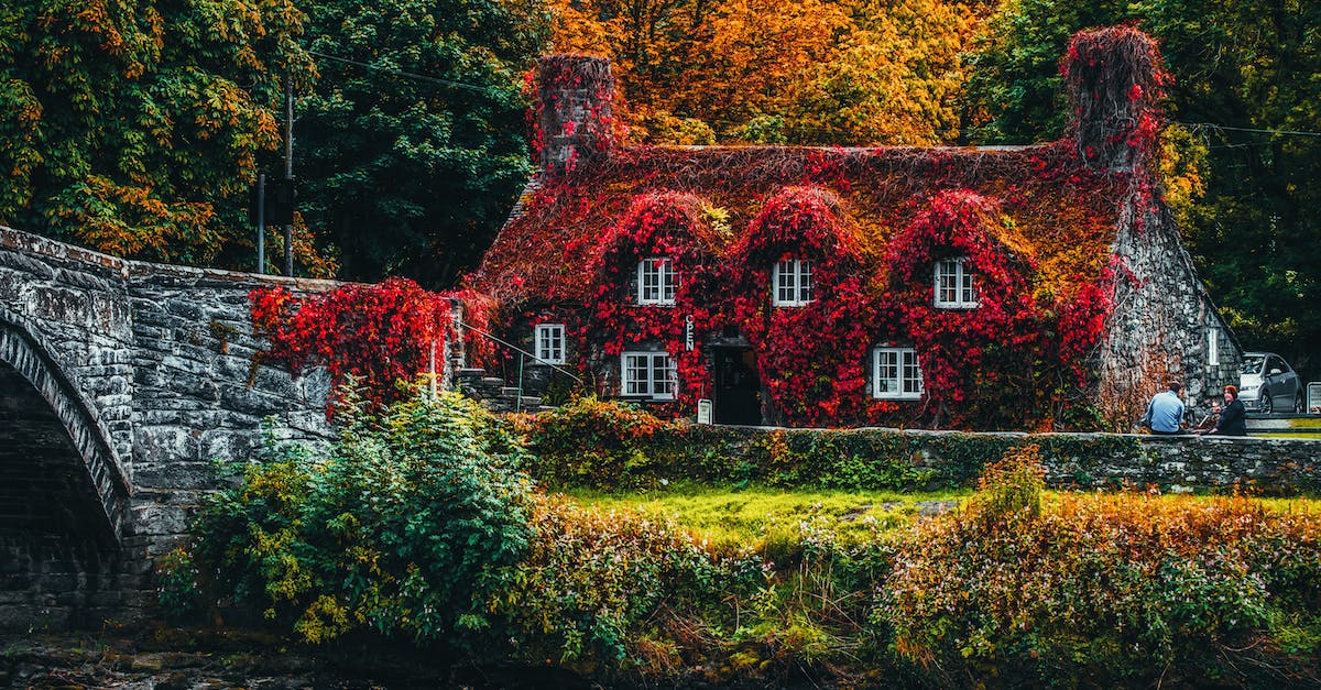 Wildstar housing: Garden LvL 2 - House Covered With Red Flowering Plant