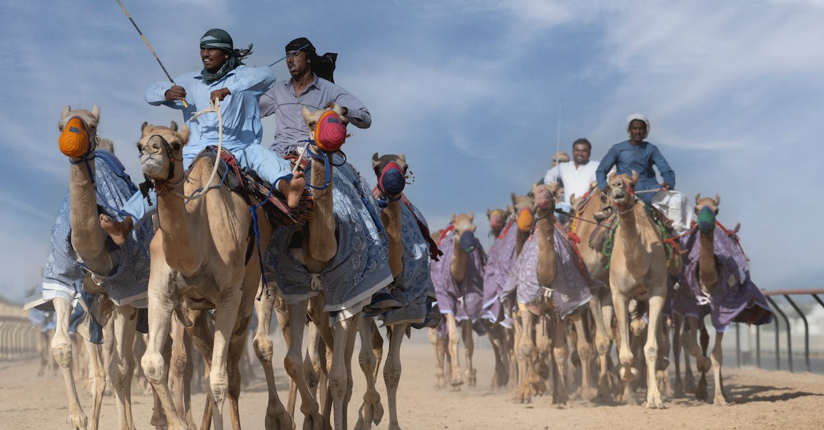 Will animals spawn less likely in offline mode? - Men Riding Camels in Desert