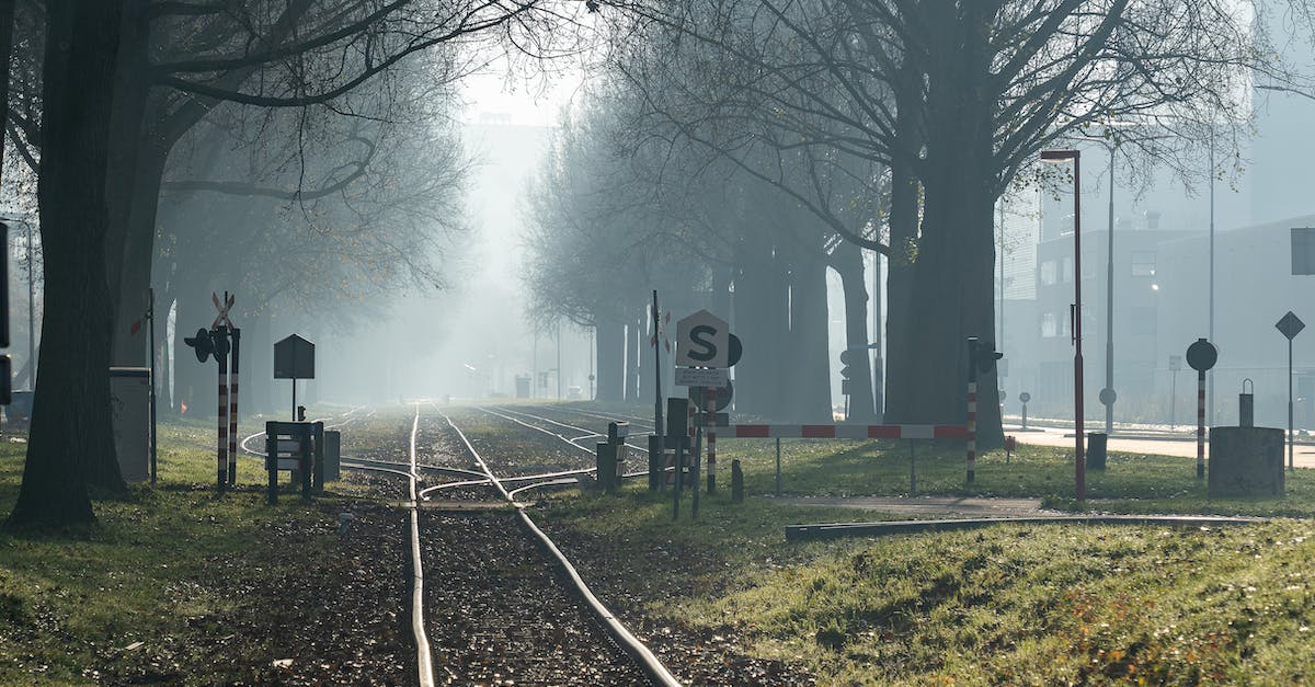 Will I be able to track progress of my referrals when transferring between regions? - Tram Tracks Between Trees Will I be able to track progress of my referrals when transferring between regions? - Tram Tracks Between Trees