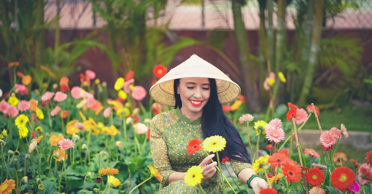 Will I be at a disadvantage for picking a less popular team? - Beautiful Woman in Floral Dress picking Flowers Will I be at a disadvantage for picking a less popular team? - Beautiful Woman in Floral Dress picking Flowers