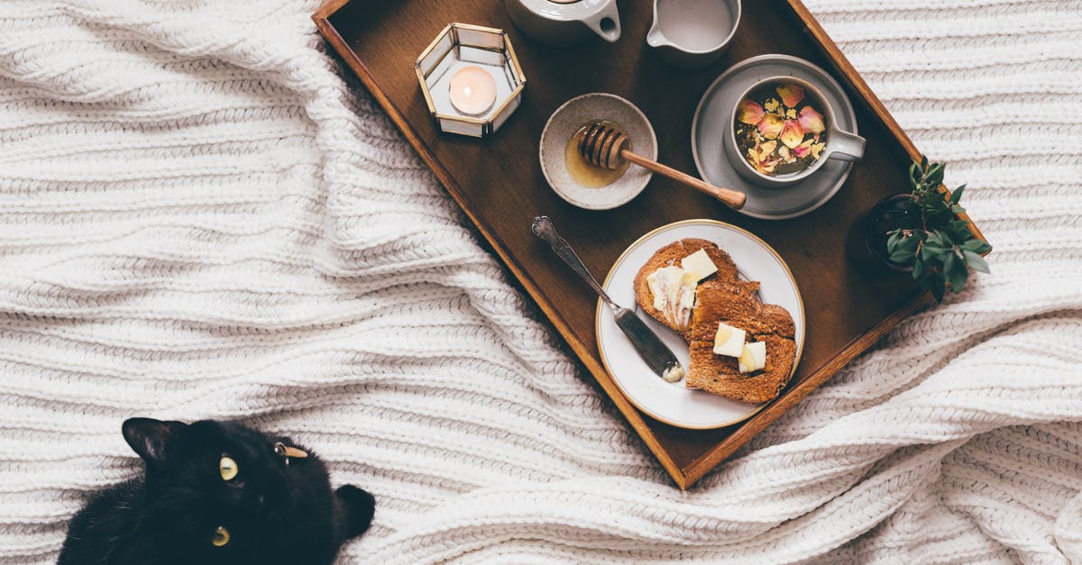 Will I benefit from taking animal beds in a caravan? - From above of wooden tray with delicious homemade breakfast near domestic cat resting on bed and looking at camera