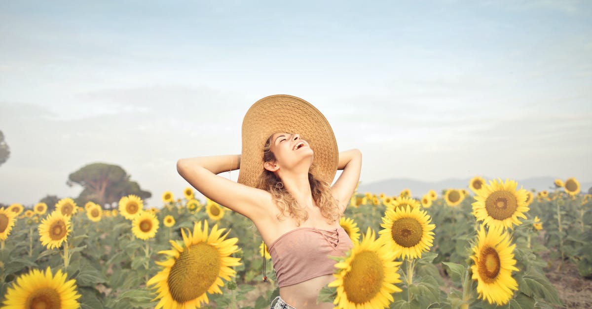 Will I get the season 1 and 2 characters with the free Arcade Edition update? - Woman Standing on Sunflower Field