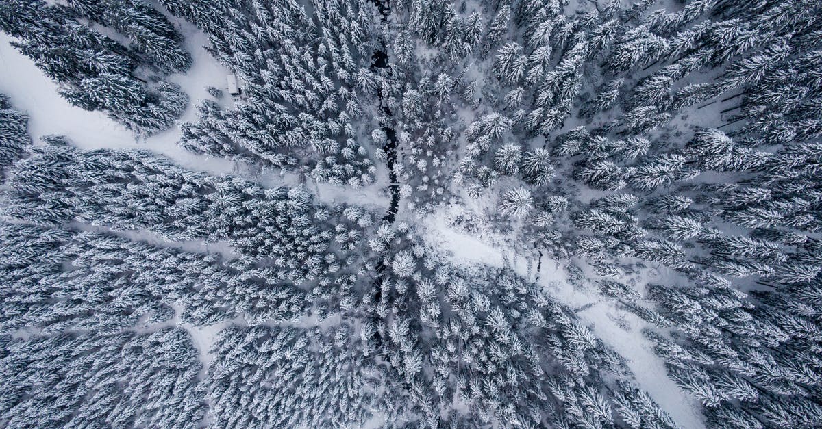 Will Iceblink be triggered by a weapon's cold damage? - Aerial Photography of Snow Covered Trees Will Iceblink be triggered by a weapon's cold damage? - Aerial Photography of Snow Covered Trees
