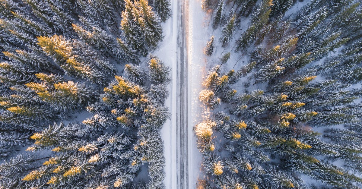 Will Iceblink be triggered by a weapon's cold damage? - Aerial Photography of Road in Forest Will Iceblink be triggered by a weapon's cold damage? - Aerial Photography of Road in Forest