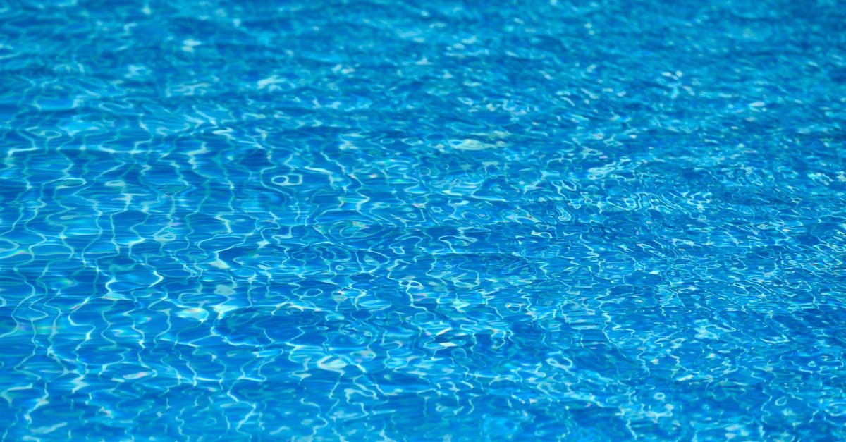 Will incinerators clear out landfills? - Body Of Water Will incinerators clear out landfills? - Body Of Water