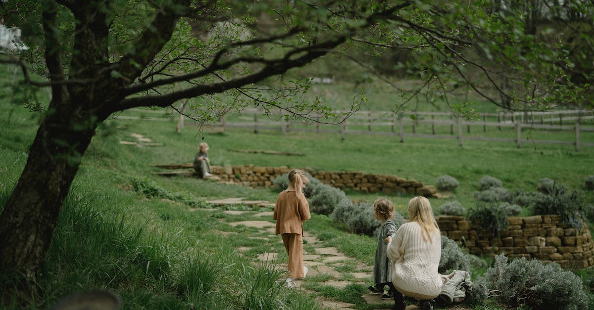 Will less trees mean a higher chance for bugs to spawn on the given trees? - Free stock photo of adult, animals, bench