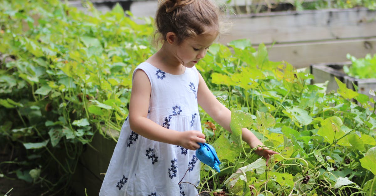 Will my kids ever grow up? - Girl Wearing White Floral Dress Beside Grass Plant at Daytime