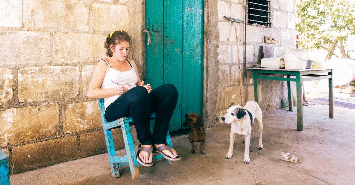 Will my pets get eaten by aliens? - Woman Sitting on a Blue Chair Will my pets get eaten by aliens? - Woman Sitting on a Blue Chair