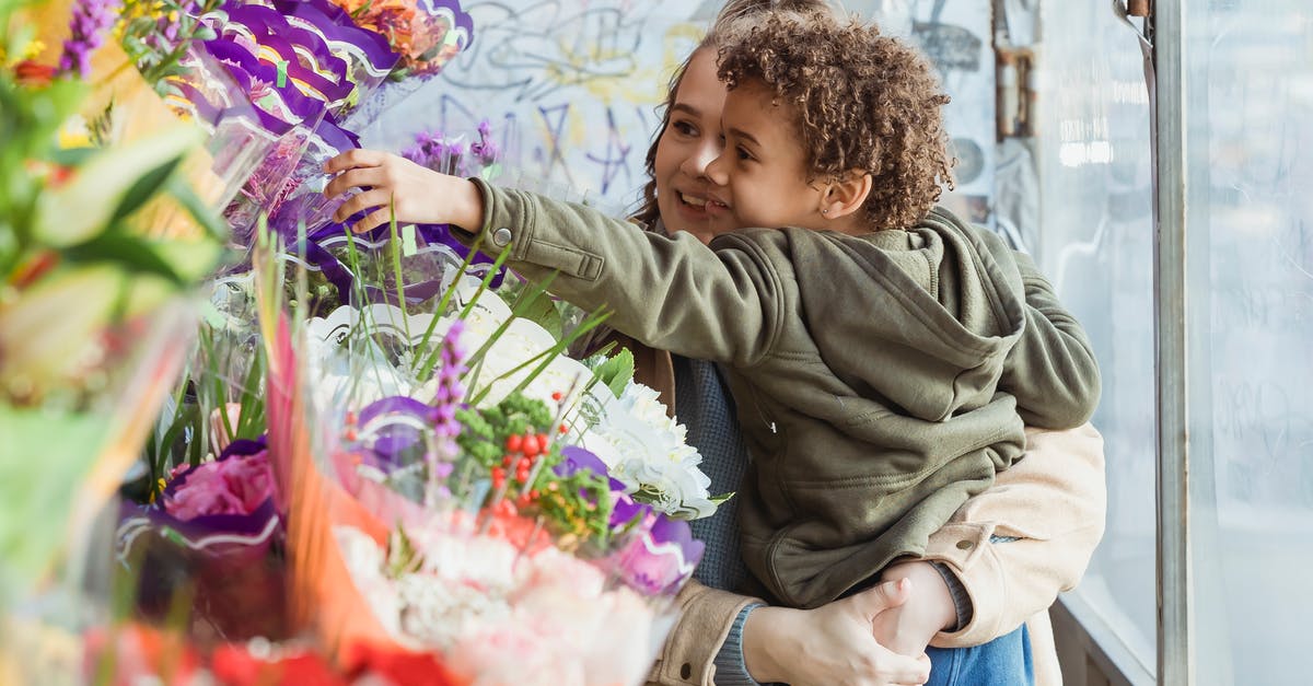 Will my saves carry over if I purchase My Boy! Premium? - Smiling mother holding cute black son on hands while choosing together bouquet in floristry store Will my saves carry over if I purchase My Boy! Premium? - Smiling mother holding cute black son on hands while choosing together bouquet in floristry store