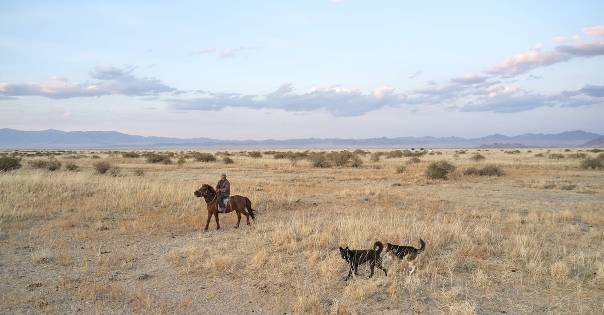 Will riding a rock dog allow me to walk in lava pits? - Cattleman with dogs in remote terrain