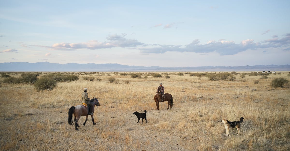 Will riding a rock dog allow me to walk in lava pits? - Dogs and men on horses in valley