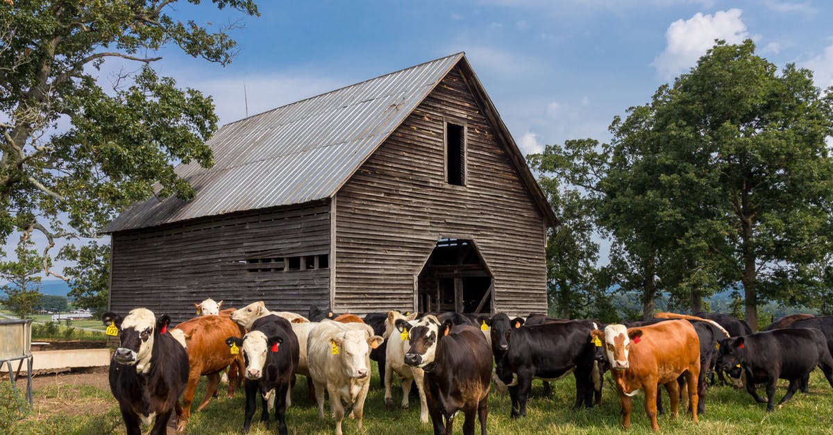 Will `/scoreboard players tag` remove tags from ineligible players/entities that were previously tagged? - Cattle Near Barn Will `/scoreboard players tag` remove tags from ineligible players/entities that were previously tagged? - Cattle Near Barn