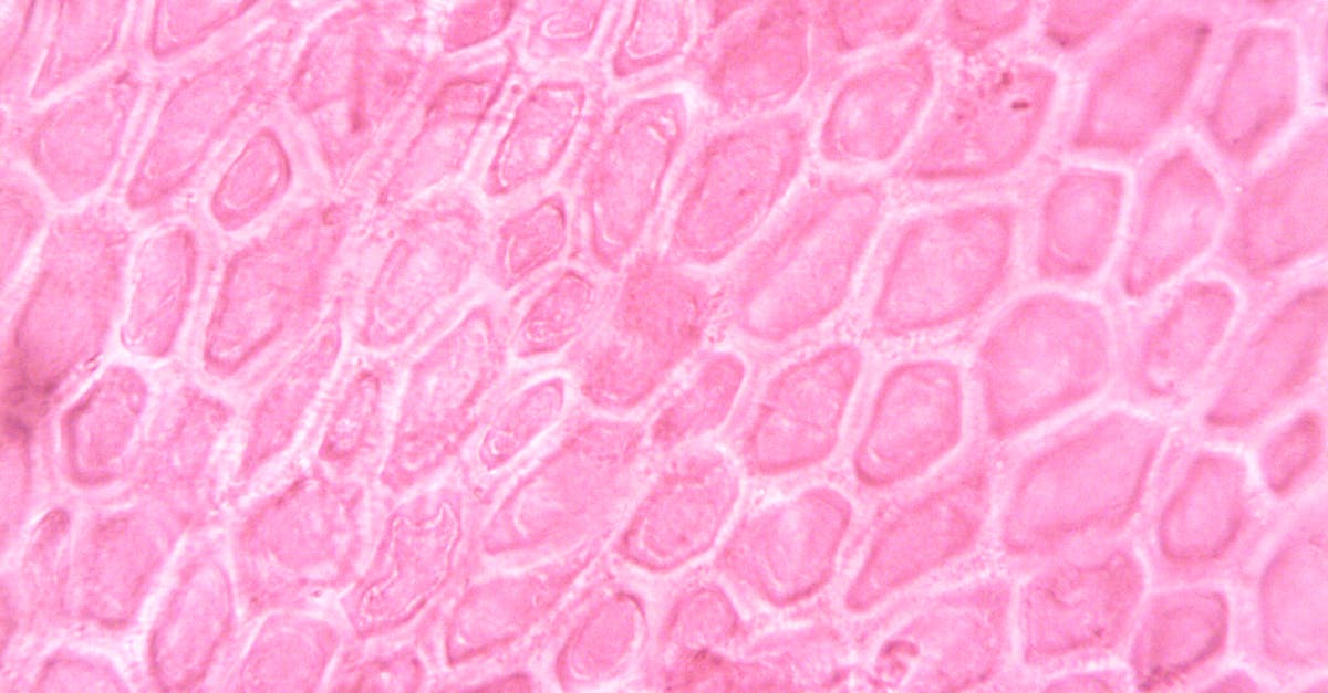 Will shakedowns and cell searchs reveal tunnels? - Green and White Floral Textile Will shakedowns and cell searchs reveal tunnels? - Green and White Floral Textile