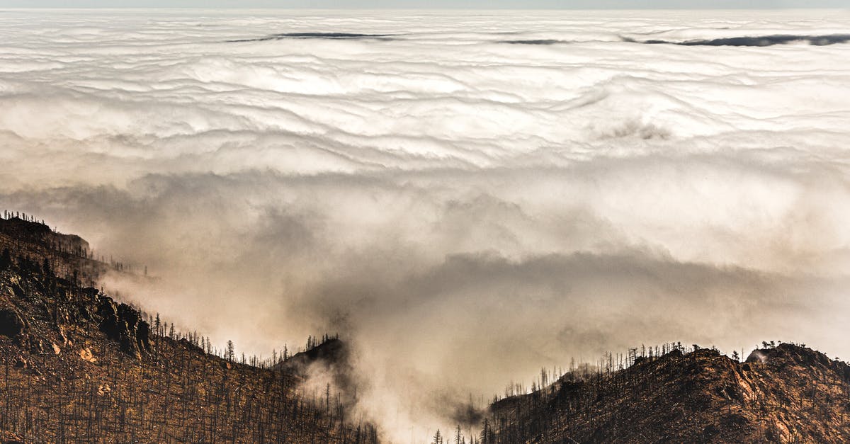 Will Tamoe Highland be accessible after I teleport to Tristram in act I - Sea of Clouds Will Tamoe Highland be accessible after I teleport to Tristram in act I - Sea of Clouds