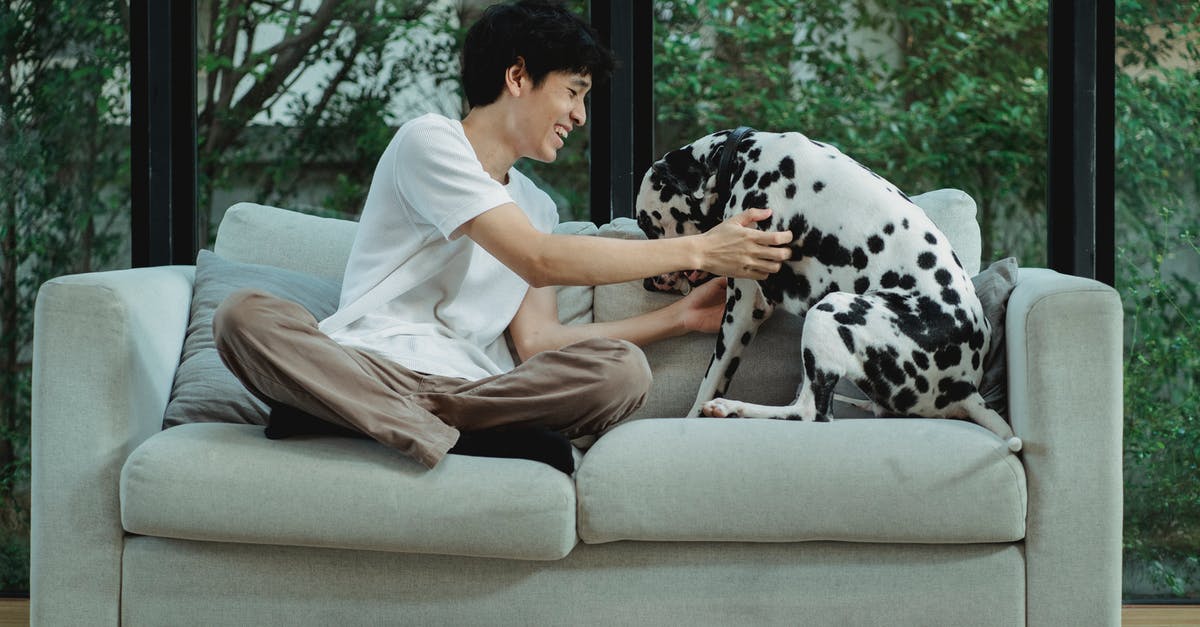 Windows can't connect to Linux Minecraft LAN - Man Touching a Dalmatian Dog on Sofa and Smiling