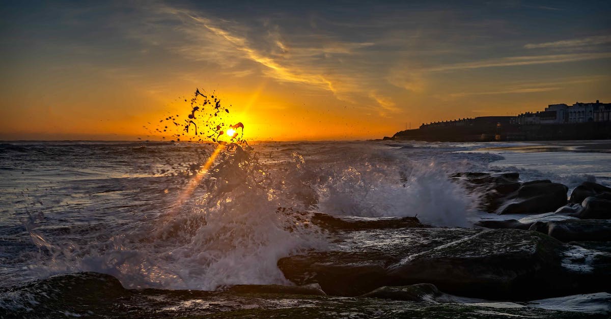 Witcher 3 crashes constantly - Free stock photo of beach, seascape, sunset Witcher 3 crashes constantly - Free stock photo of beach, seascape, sunset