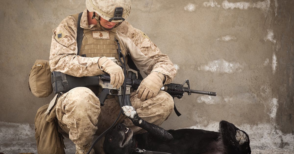 WoF not dropping its weapons, Breaker Blade, Clockwork Rifle and Laser Rifle - Soldier Sitting on Rock While Playing With Black Dog