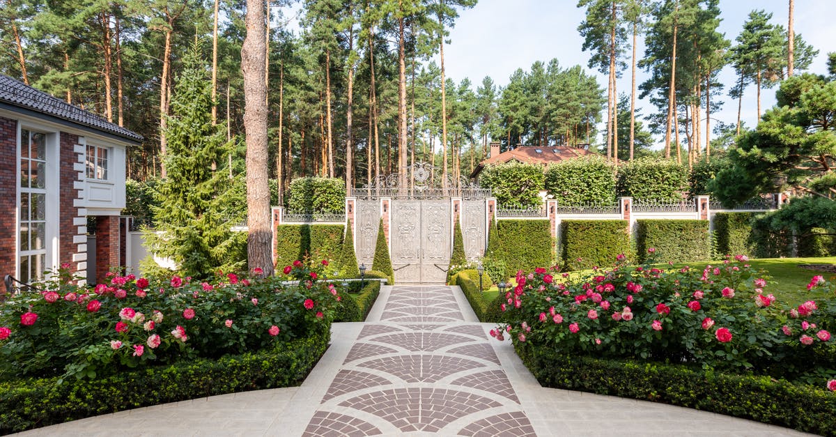 Would the gate in Path of Pain stay open if i saved and quit? - Flowers and green plants with trees in yard with pathways near cottage exterior and fence with gates in sunny summer day