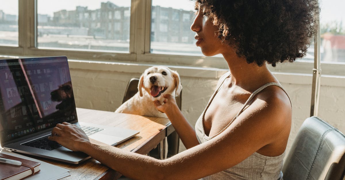 Xbox 360 S starting but not working - Concentrated young black woman working remotely on computer while sitting in room at table and petting dog