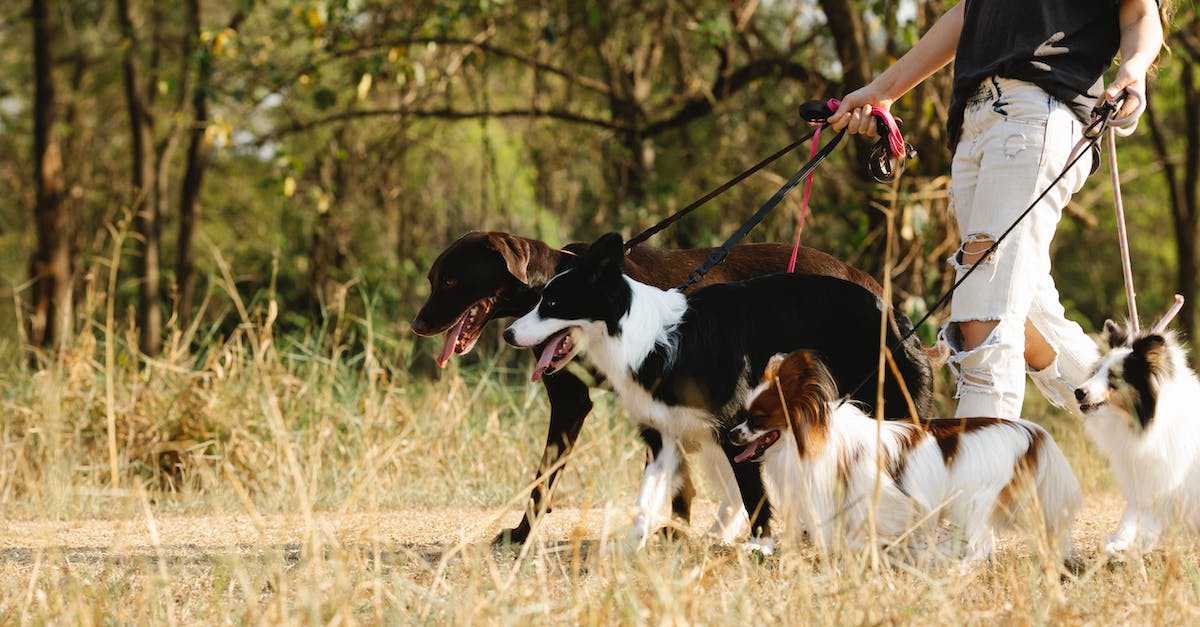 Yogscast complete pack server files - Woman in Black Tank Top and White Pants Standing Beside Black and White Short Coat Large Yogscast complete pack server files - Woman in Black Tank Top and White Pants Standing Beside Black and White Short Coat Large
